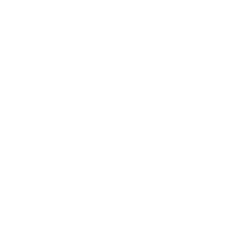Codex